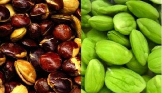 Basmi Bau Jengkol dengan 4 Cara Ini